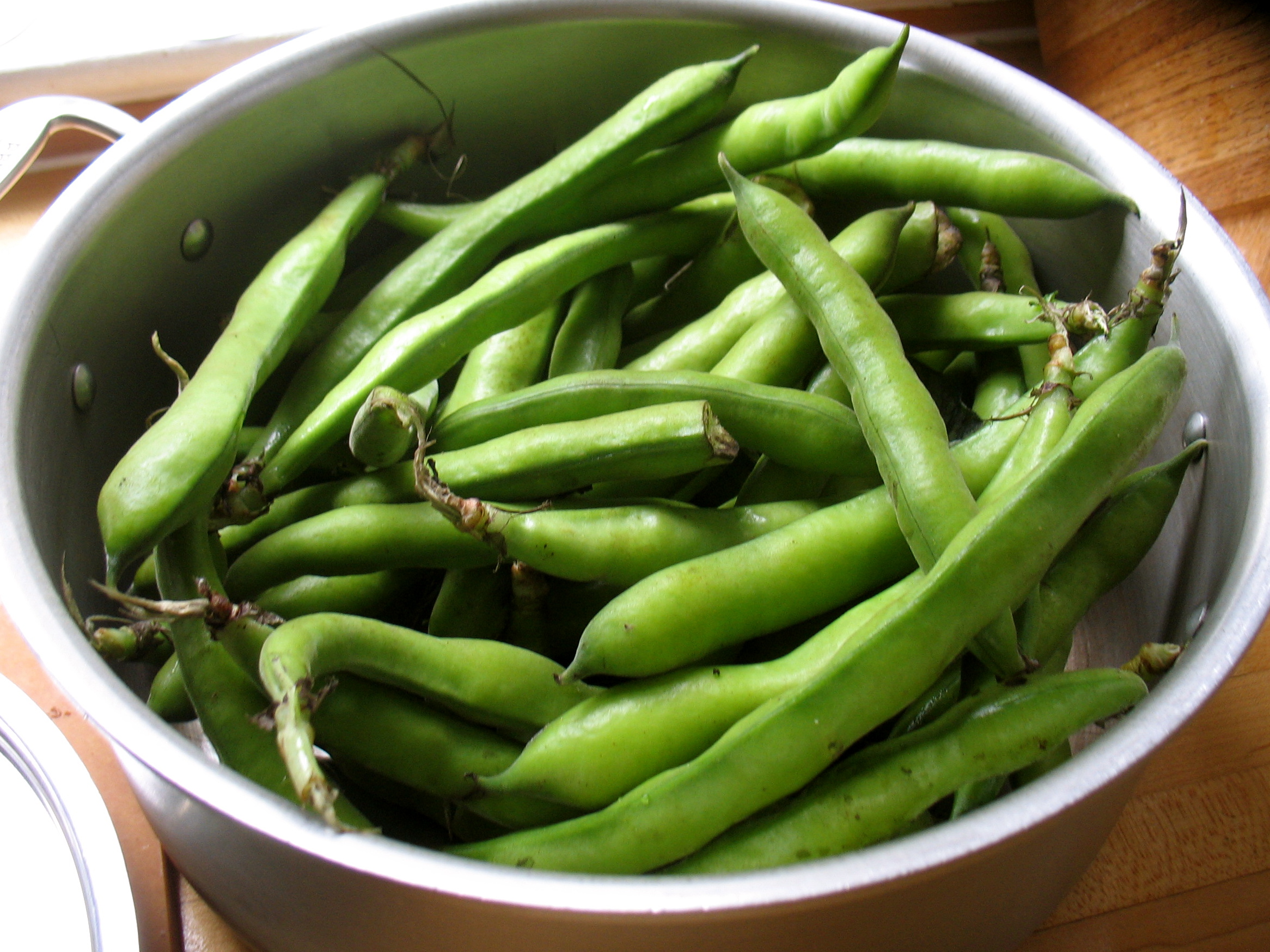 Fava Beans – Cook With What You Have
