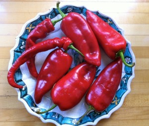 peppers sweet roasters and jimmy n