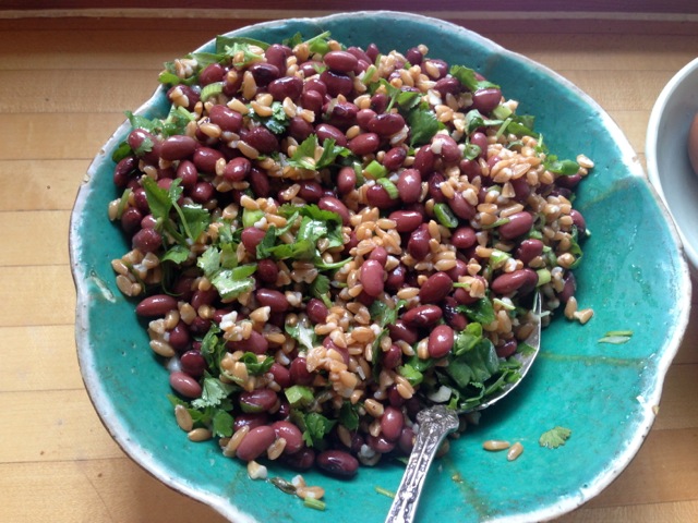 domingo rojo beans farro salad