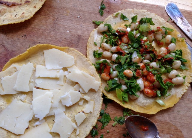 white bean parsley harissa quesadilla